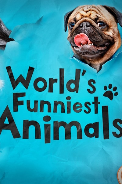 Worlds Funniest Animals - Season 4