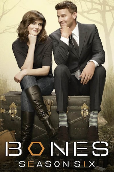 Bones - Season 6