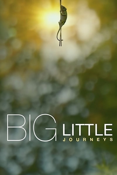 Big Little Journeys - Season 1
